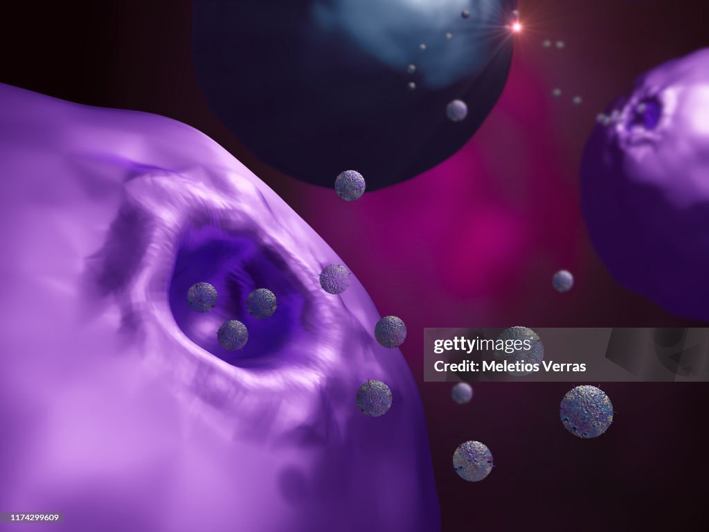 Cells secreting exosomes