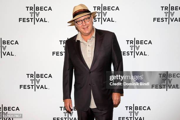 James Spader during the Tribeca Talks at the 2019 Tribeca TV Festival at Regal Battery Park Cinemas on September 12, 2019 in New York City.