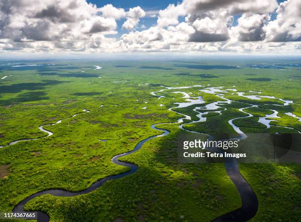 aerial view of everglades national park in florida, usa - everglades national park fotografías e imágenes de stock