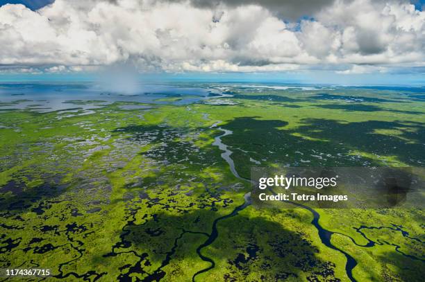 aerial view of everglades national park in florida, usa - everglades national park stock pictures, royalty-free photos & images