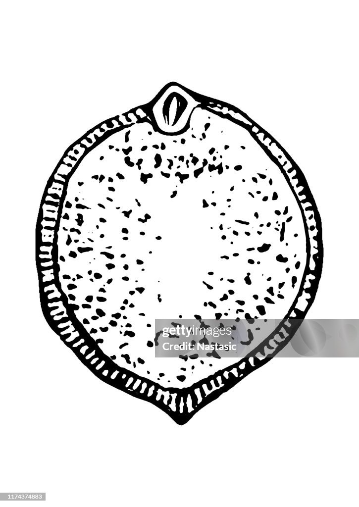 Piper cubeba, cubeb or tailed pepper is a plant in genus Piper seed