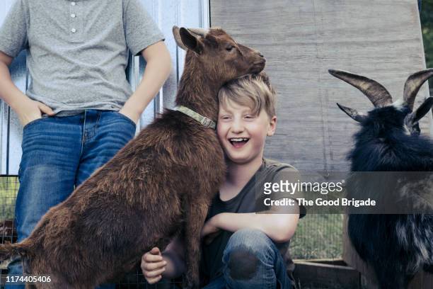 Young boy with goats on farm