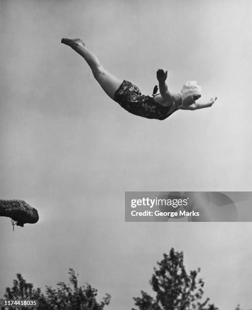 woman swan diving - sports archive stockfoto's en -beelden