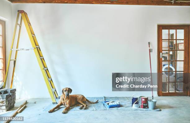 denken sie daran, ihr haus umzubauen? - background paint room stock-fotos und bilder