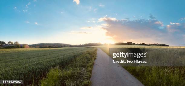 sunset in the field - lower saxony stock pictures, royalty-free photos & images
