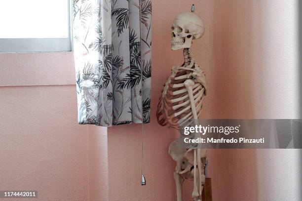 Dead Roo Skel 3.290 Death Skeleton Stock Photos, High-Res Pictures, and Images ...