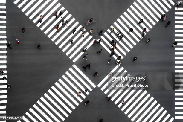 many people crossing in ginza pedestrian crosswalks, one of the busiest crosswalks in tokyo and in the world at japan. - pedestrian zone stock-fotos und bilder