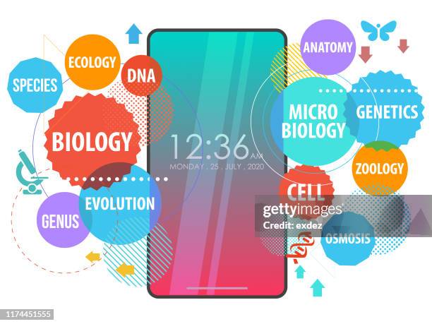 336 Svt High Res Illustrations Getty Images 336-svt-high-res-illustrations-getty-images