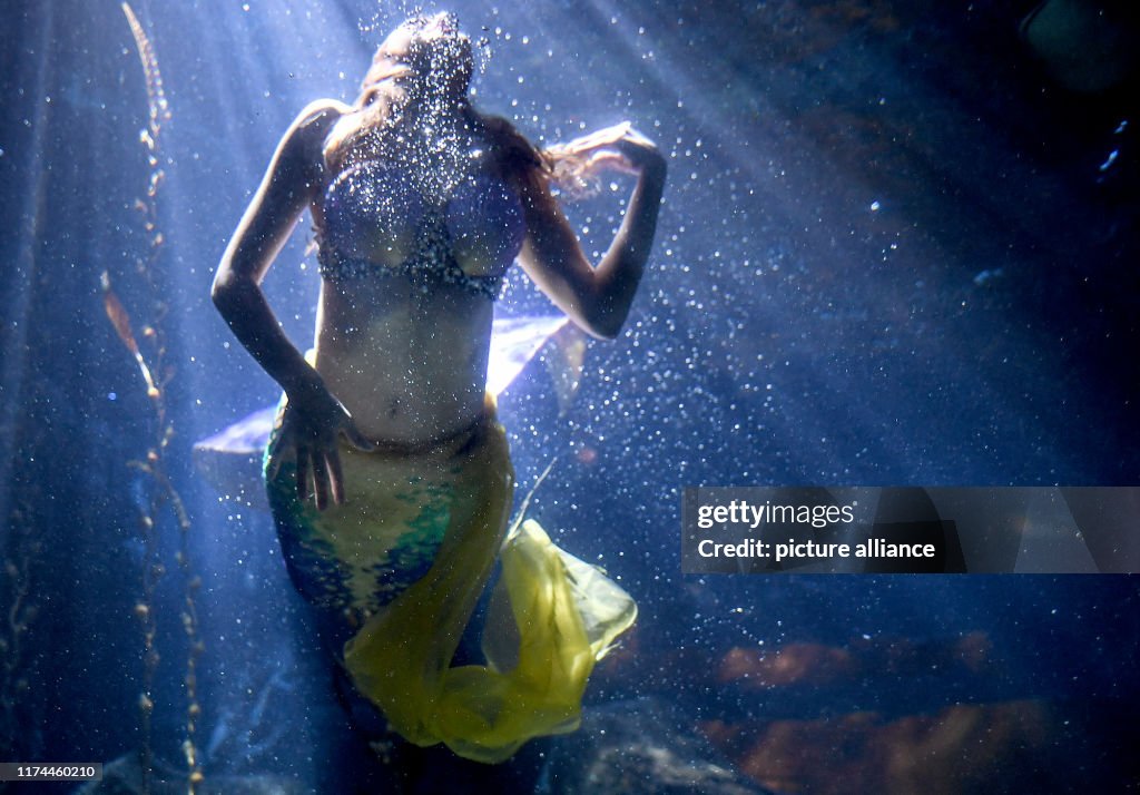 Mermaid Tarielle dives in Sea Life Berlin