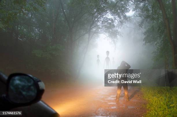 a science fiction concept of a man looking at aliens coming out the mist on a foggy, spooky forest road in the evening. highlighted by car headlights. - gray alien stock pictures, royalty-free photos & images