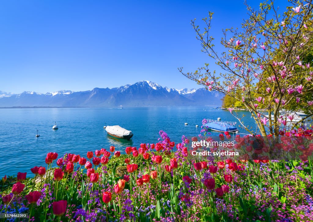 Boats anchored in Lake Geneva (Lac Leman), Montreux, Switzerland