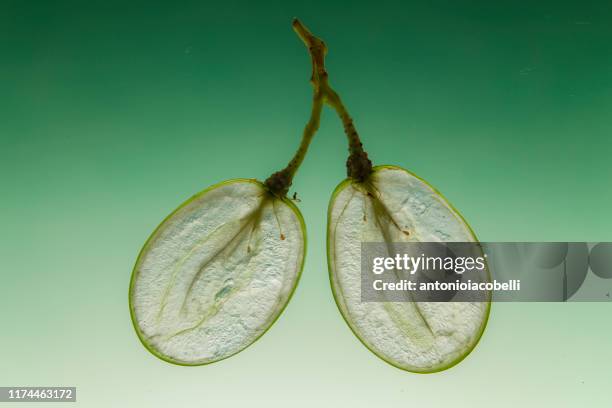 cross section view of two green grapes - cross section stock-fotos und bilder