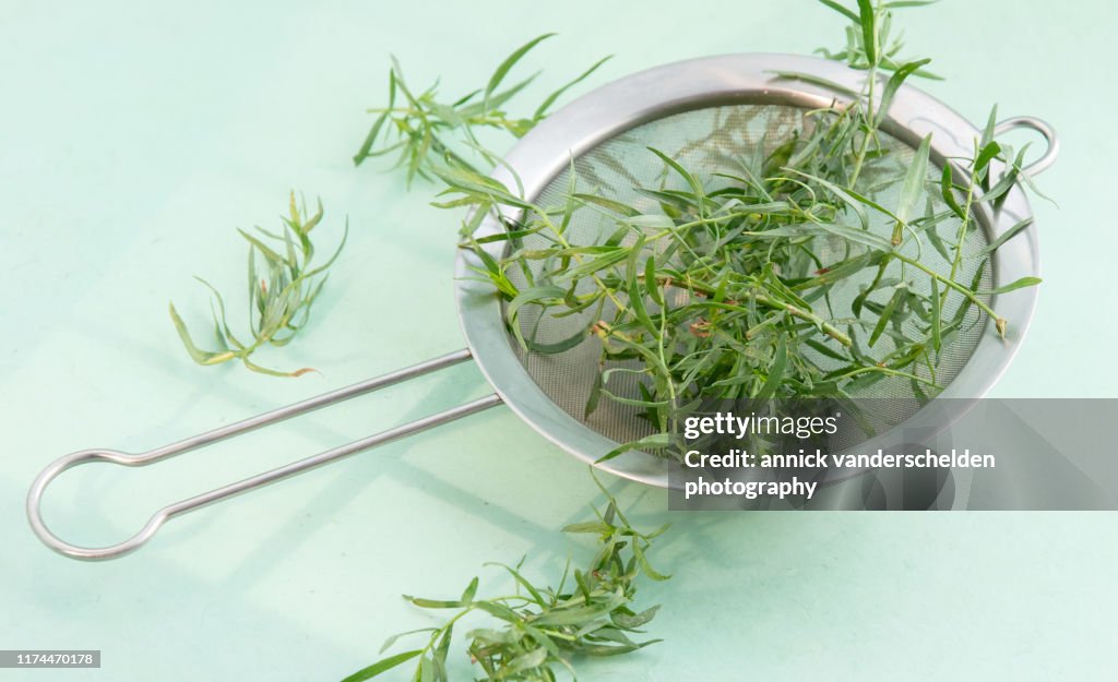 Tarragon
