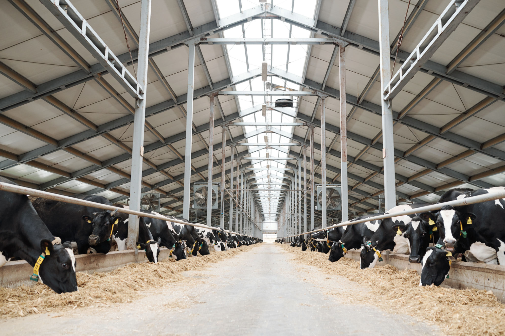 modern barn use