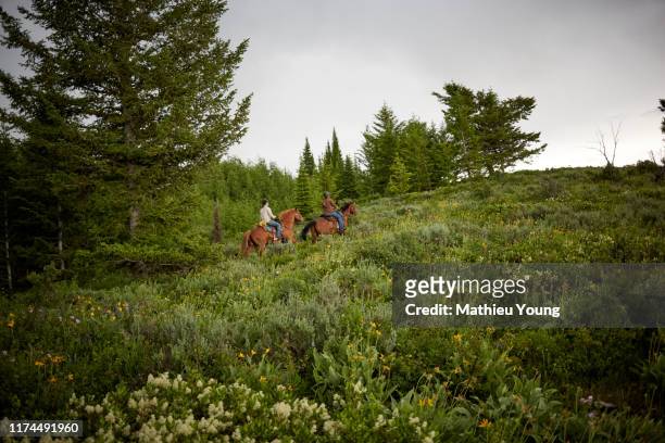 two women ride horses - american ranch landscape stock-fotos und bilder
