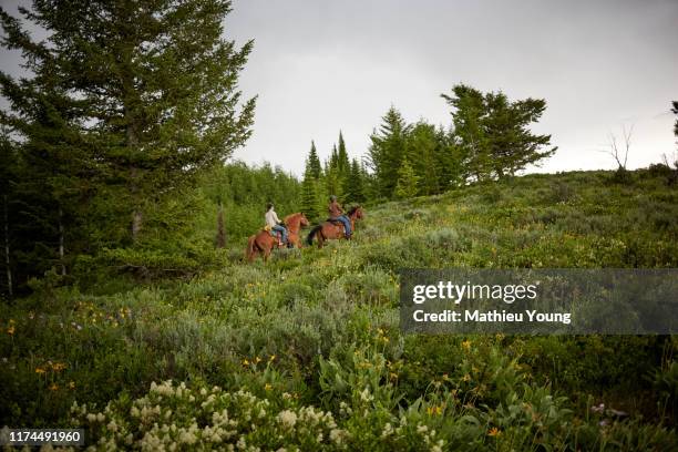 two women ride horses - idaho stock pictures, royalty-free photos & images