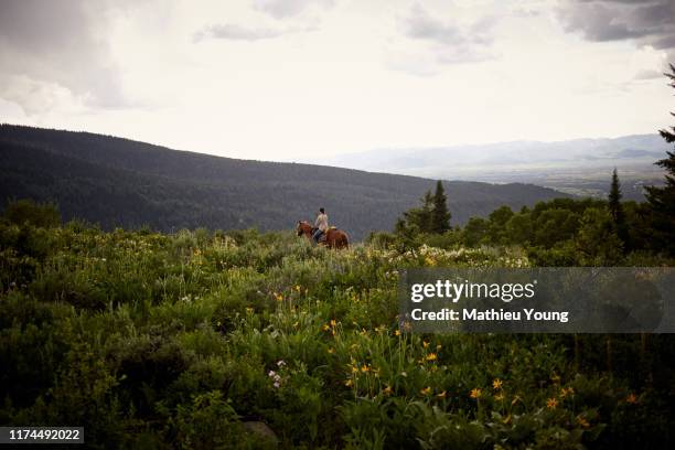 Woman rides horse