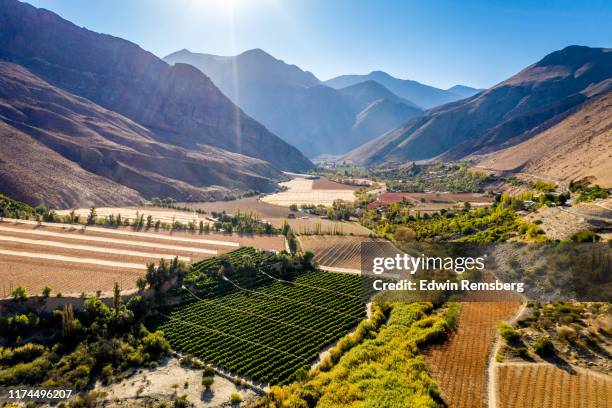 farmland in the elqui valley - anden stock-fotos und bilder