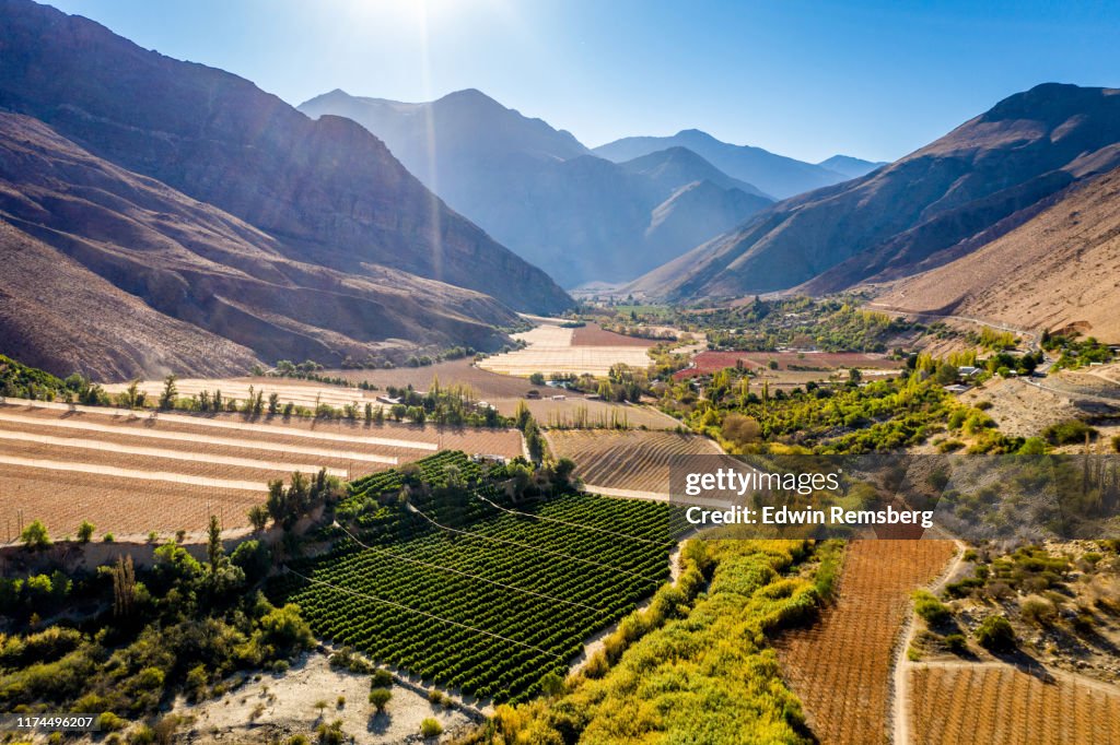 Farmland in the Elqui Valley