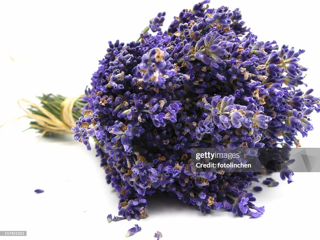 Lavender