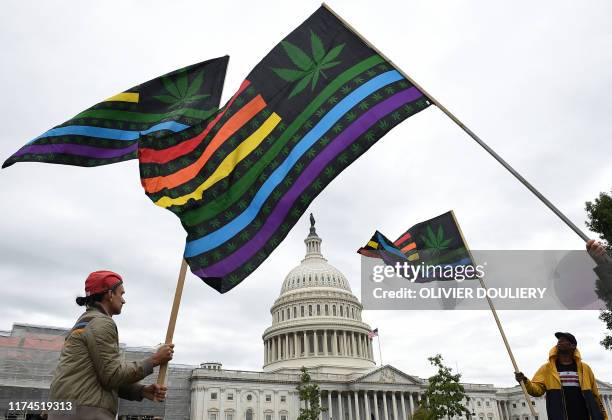 Activists from the DC Marijuana Justice wave flags during a rally to demand Congress to pass cannabis reform legislation on the East Lawn of the US...