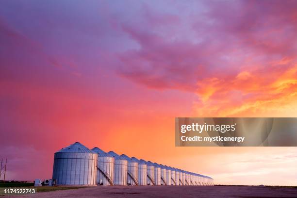 grain storage silos canadian prairie saskatchewan - granary stock pictures, royalty-free photos & images