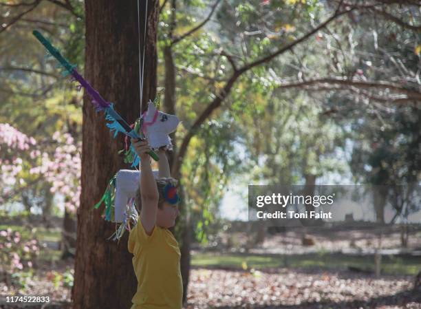 at a birthday party in the woods with a unicorn piñata - einhorn wald stock-fotos und bilder