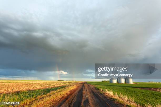 country road saskatchewan kanada - getreideheber stock-fotos und bilder