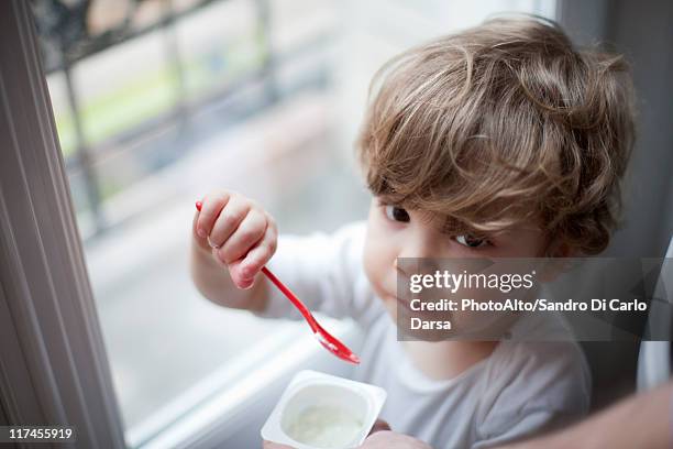 toddler boy eating yogurt, portrait - yoghurt stock pictures, royalty-free photos & images