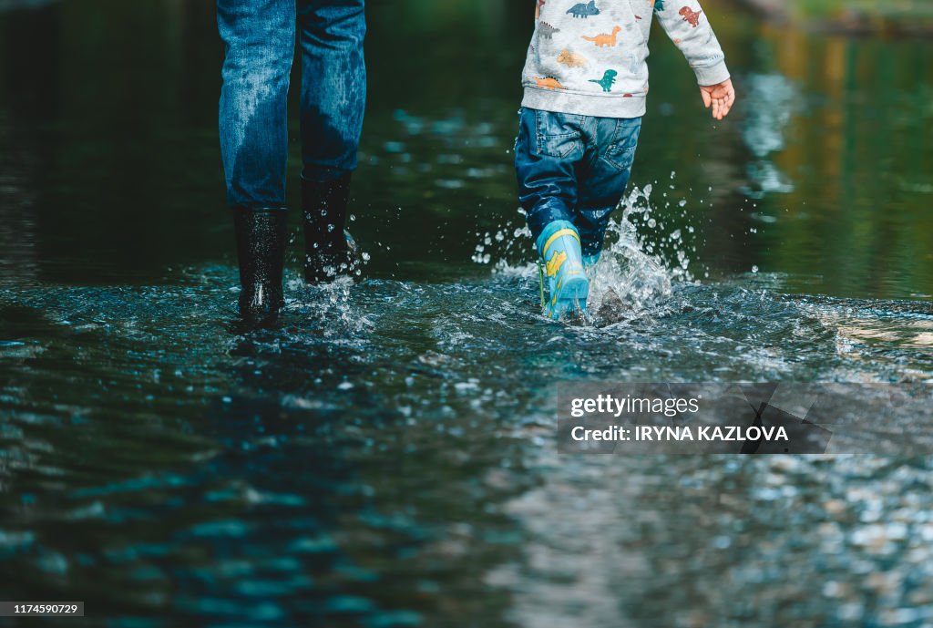 Close-up legs of mothers and son in the summer puddles. Rear view