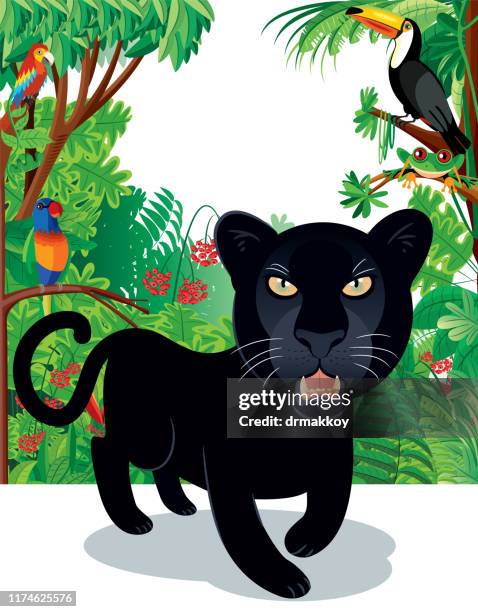 tropical rain forest - mayan stock illustrations