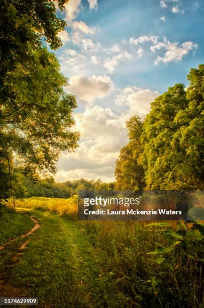 glowing meadows - ohio landscape stock pictures, royalty-free photos & images