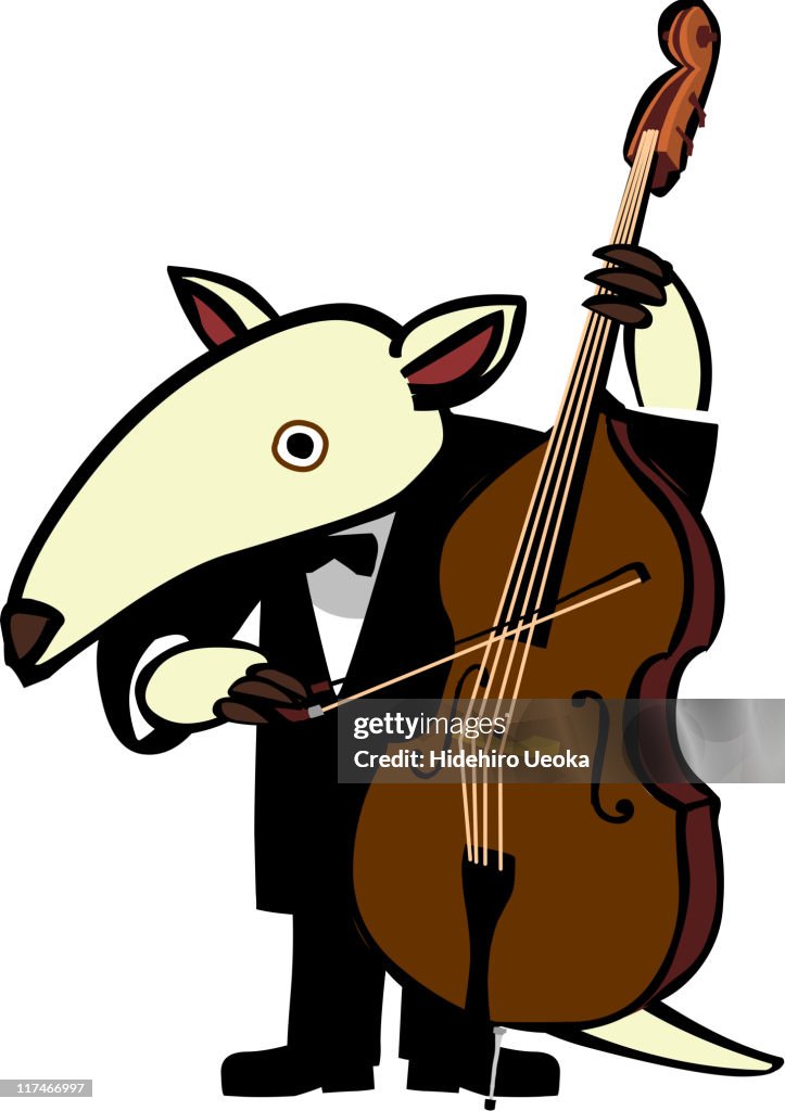 Illustration of an aardvark playing the cello