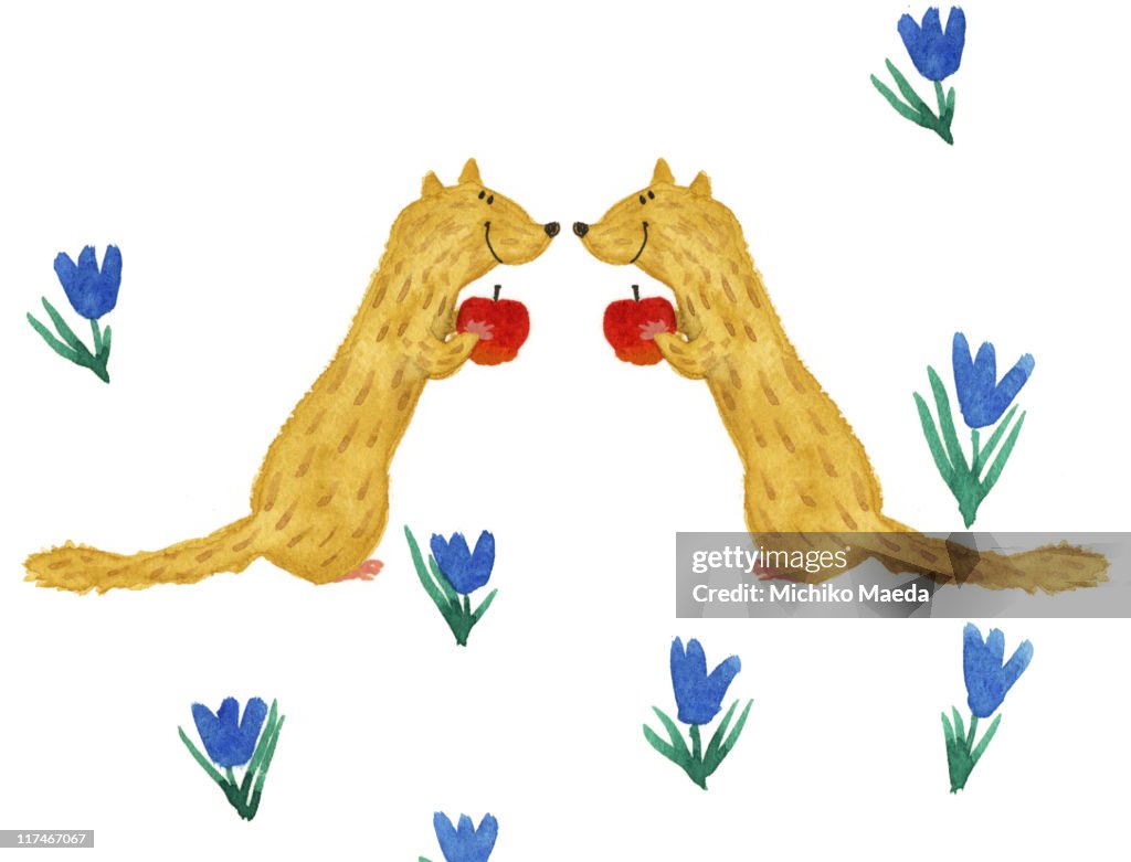 Illustration of two squirrels with apples