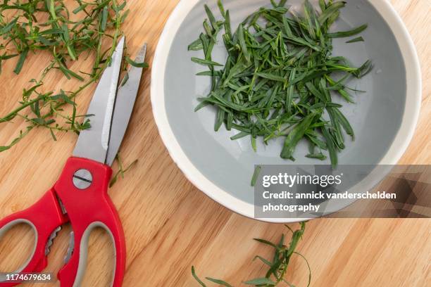 tarragon preparation - tarragon stock pictures, royalty-free photos & images