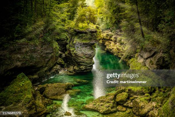 traunfall oberösterreich - oberösterreich stock-fotos und bilder