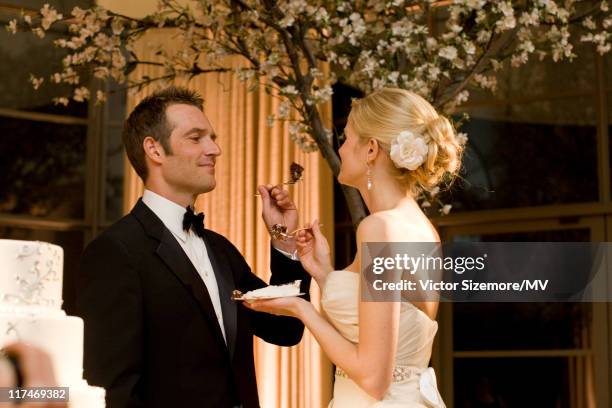 Michael Vartan and Lauren Skaar during their wedding at The Resort at Pelican Hill April 2, 2011 in Newport Beach, California. Lauren is wearing Vera...