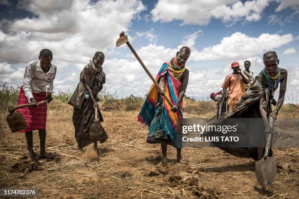 Members of the Turkana community work plowing and removing weeds in an arid area to grow sorghum in Nanyee, near Lodwar, Turkana County, Kenya, on...