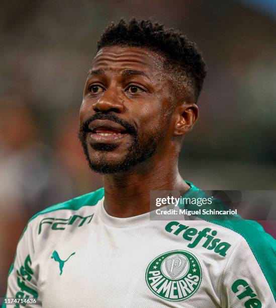 Ramires of Palmeiras looks on prior a match between Palmeiras and Cruzeiro for the Brasileirao Series A 2019 at Allianz Parque on September 14, 2019...