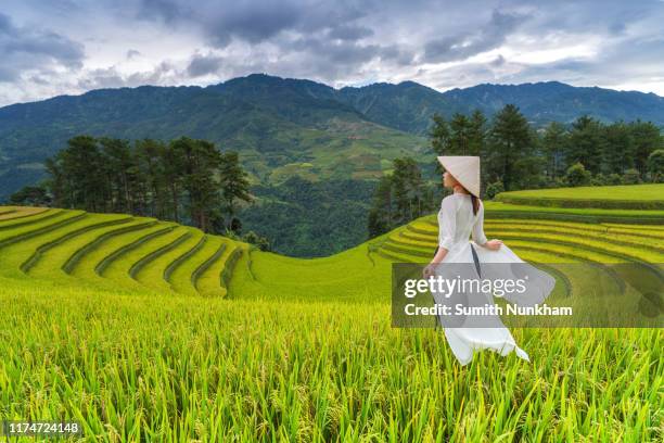 vietnamese girl with vietnam culture traditional ao dai dress in rice fields terraced of harvest season at mu cang chai, yenbai, northern vietnam. - muş city turkey stock pictures, royalty-free photos & images