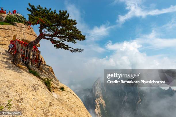 beautiful landscape of mountain huashan, one of the most popular travel destinations in china at sunset, shaanxi province. - huangshan photos et images de collection