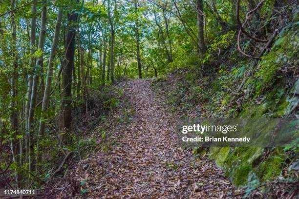 buddhist trail - kochi japan stock pictures, royalty-free photos & images