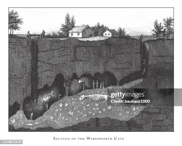 Corpse Decomposition 79 Decomposition Of Corpse In Water Drawing Stock Photos, High-Res ...