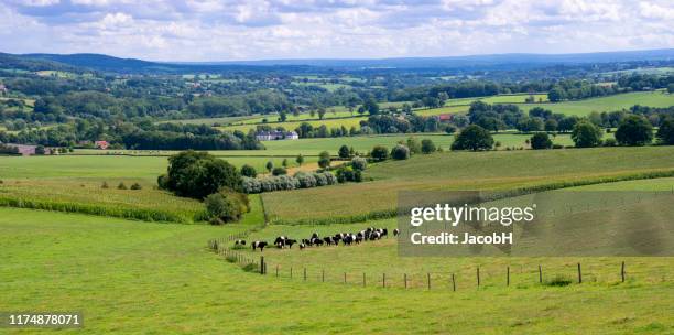 limburg landscape - panoramic farm stock pictures, royalty-free photos & images