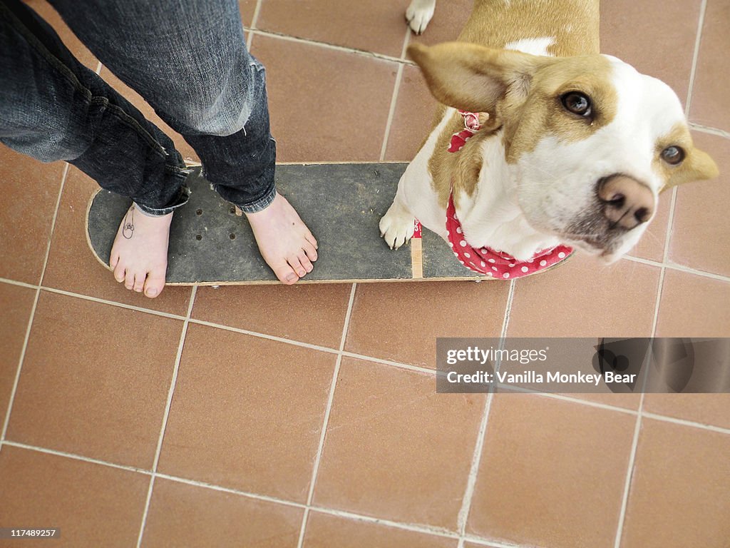 Puppy and barefoot boy on skateboard