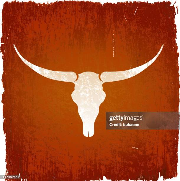 longhorn bull skull on royalty free vector background - texas longhorns stock illustrations