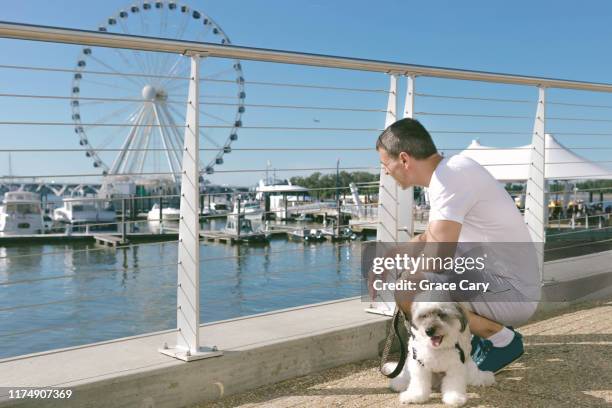man and dog rest on waterfront - national harbor ferris wheel stock pictures, royalty-free photos & images