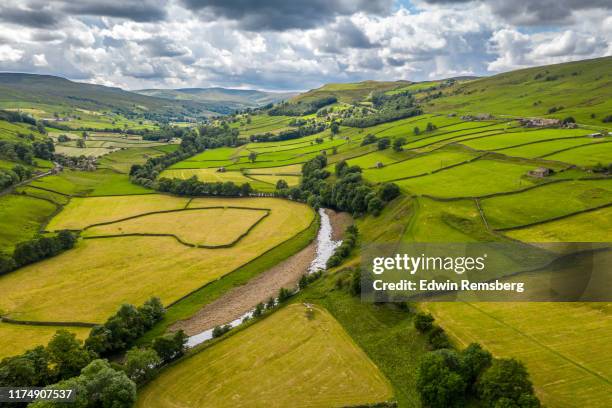 swaledale farms - yorkshire fotografías e imágenes de stock