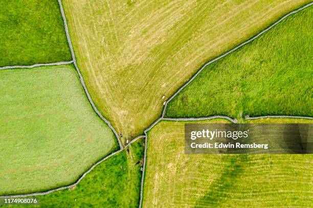 green pastures - agricultural field drone stock pictures, royalty-free photos & images