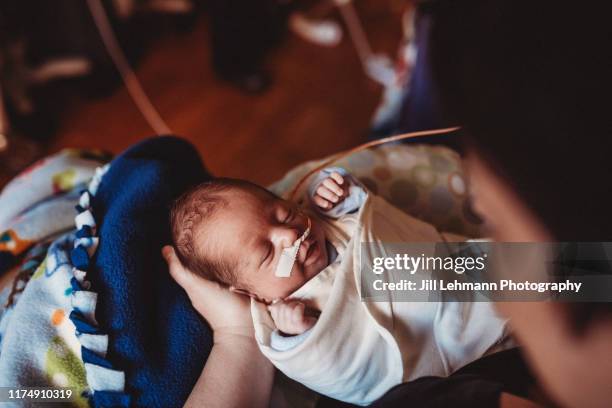 29 week premature baby holds mothers hand and is held in the nicu - frühgeburt stock-fotos und bilder